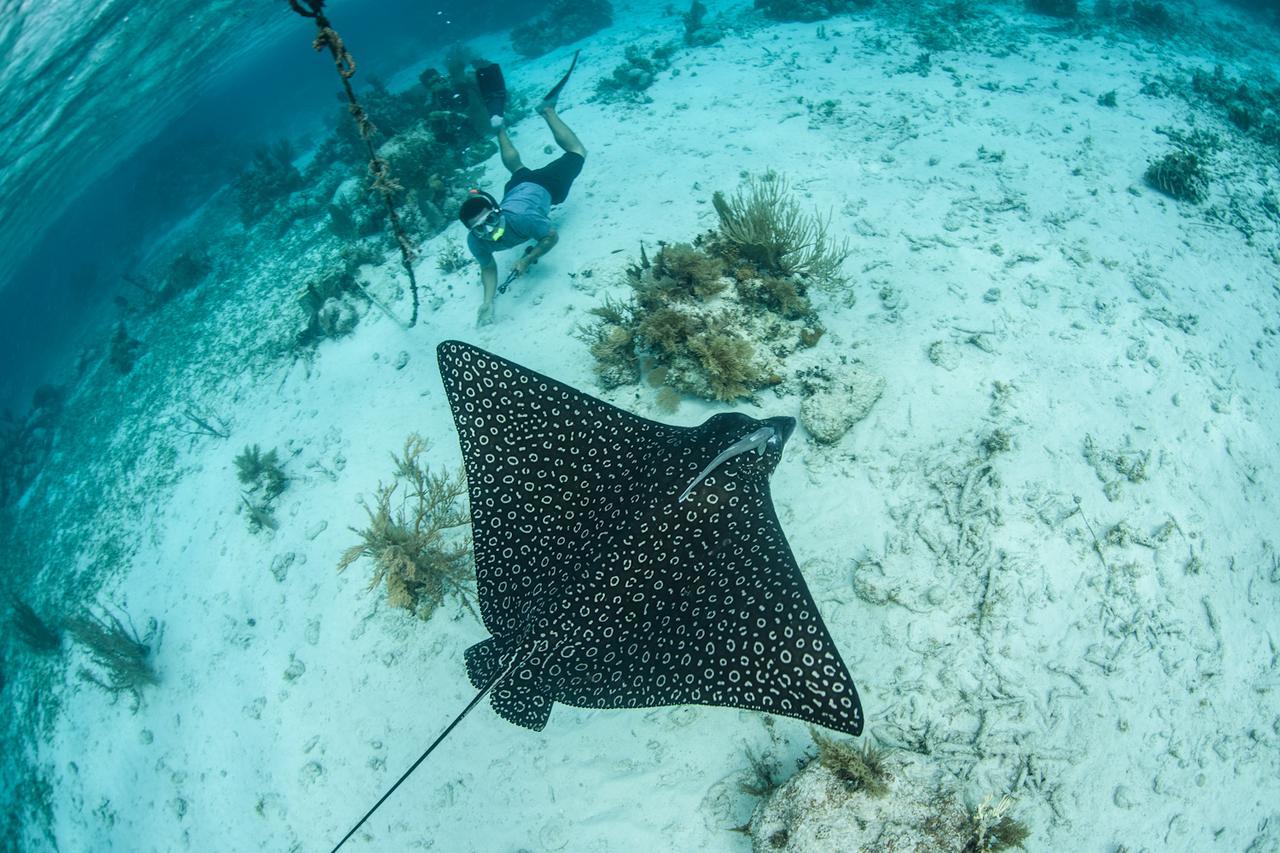 Turneffe Island Resort Turneffe Atoll Luaran gambar